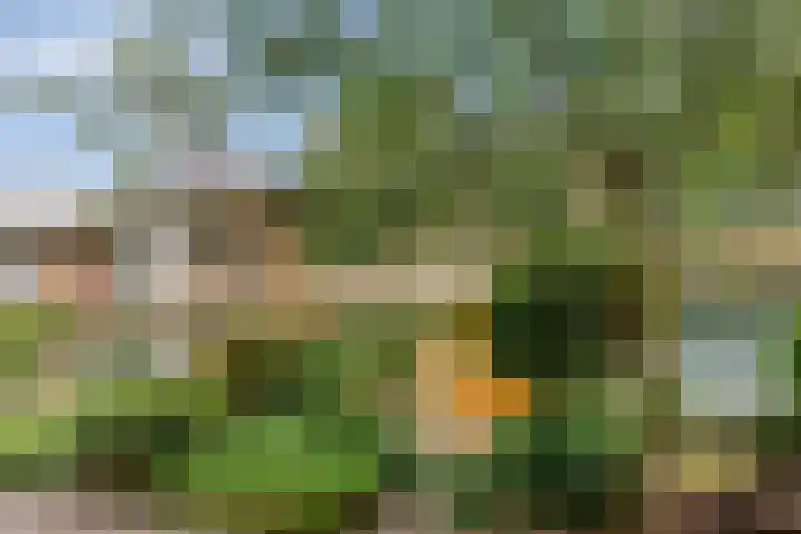 Kruisakker 5 Eindhoven thumbnail 31
