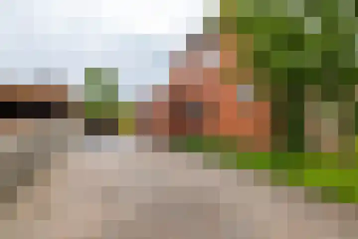 Kruisakkers 13 Annen thumbnail 10
