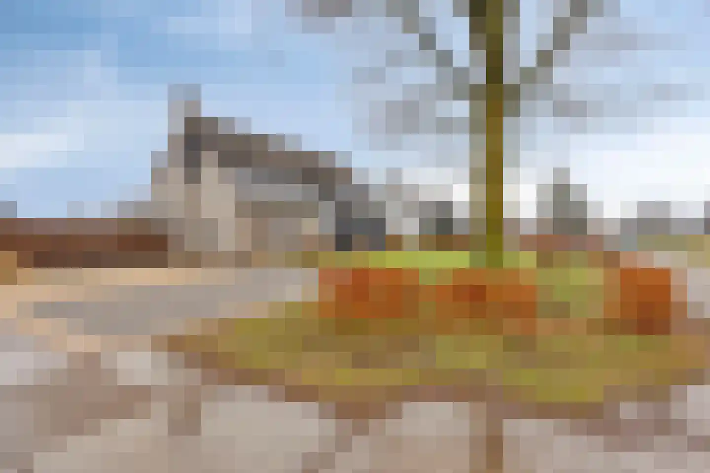 Kruisakkers 13 Annen thumbnail 12