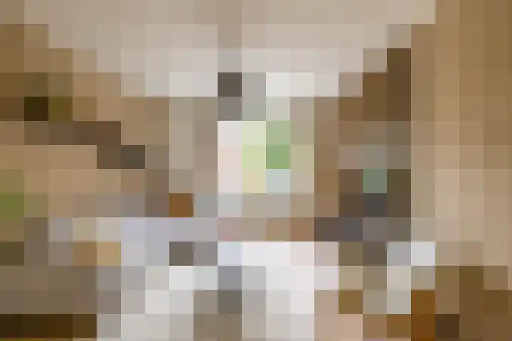 Kruisakkers 13 Annen thumbnail 32