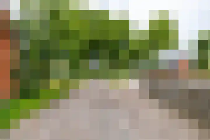 Kruisakkers 13 Annen thumbnail 5