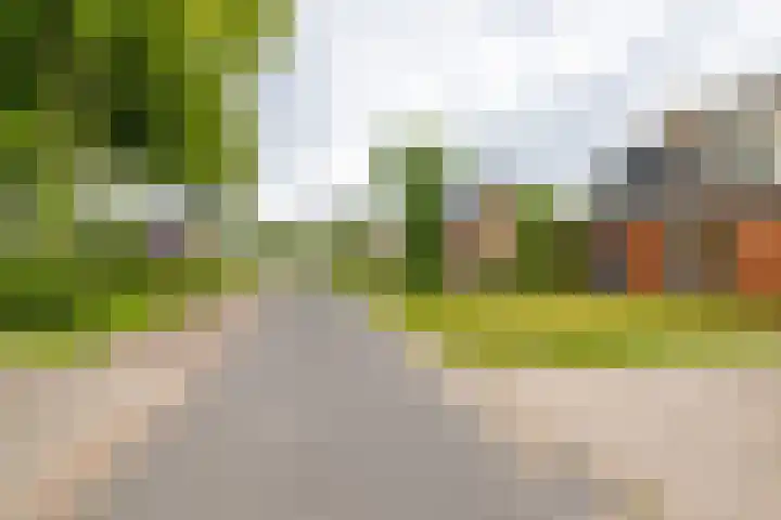 Kruisakkers 13 Annen thumbnail 53
