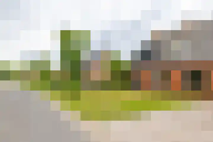Kruisakkers 13 Annen thumbnail 54