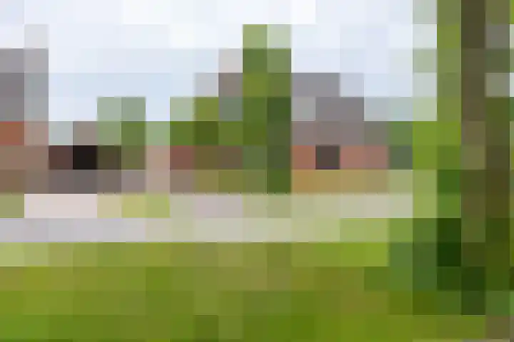 Kruisakkers 13 Annen thumbnail 6