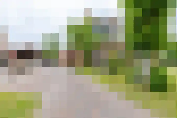 Kruisakkers 13 Annen thumbnail 7