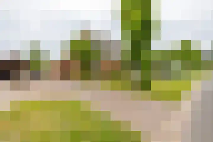 Kruisakkers 13 Annen thumbnail 8