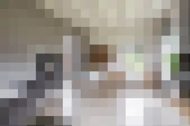 Kruisakkers 29 Annen thumbnail 13