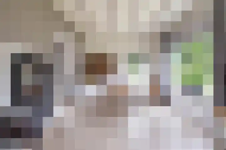 Kruisakkers 29 Annen thumbnail 14