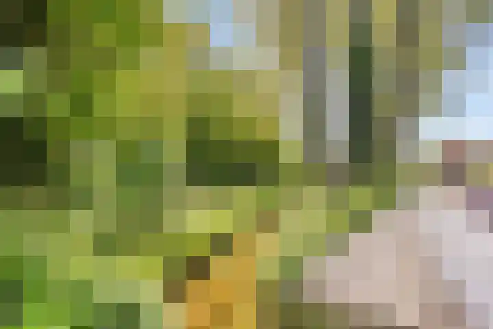 Kruisakkers 29 Annen thumbnail 19