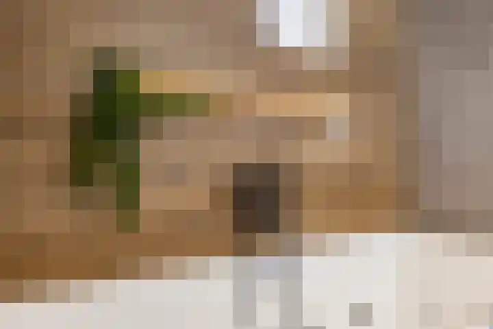 Kruisakkers 29 Annen thumbnail 33