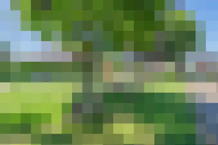 Kruisakkers 29 Annen thumbnail 34