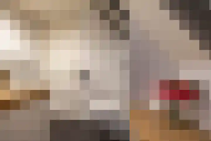 Kruisakkers 29 Annen thumbnail 50