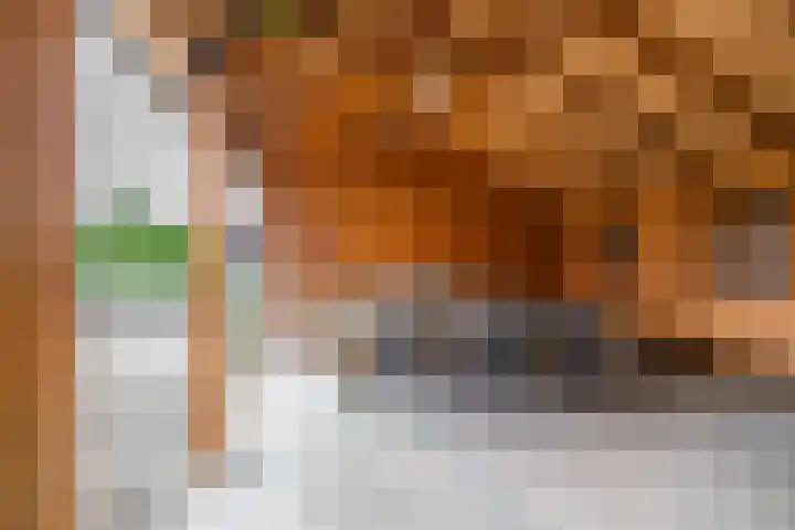 Kruisakkers 29 Annen thumbnail 61