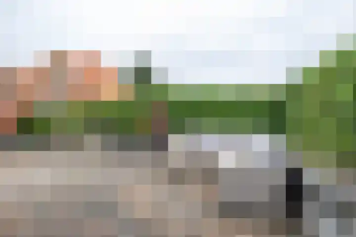 Kruisakkers 29 Annen thumbnail 63