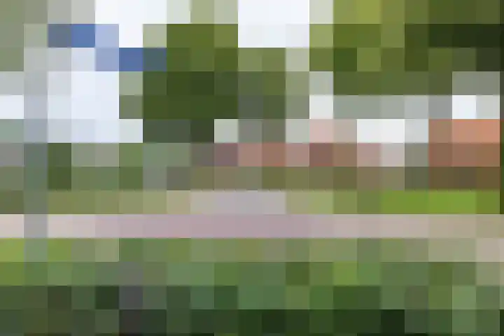 Kruisakkers 29 Annen thumbnail 75