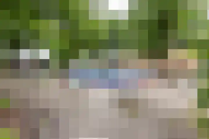 Kruisakkers 29 Annen thumbnail 76