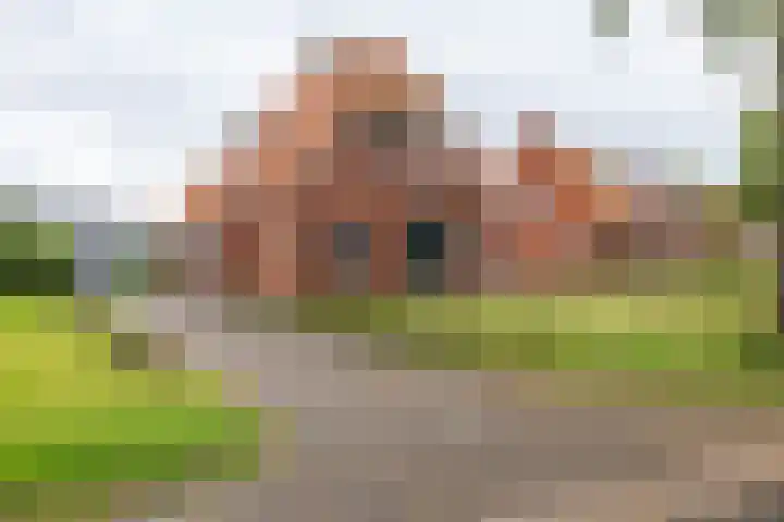 Kruisakkers 29 Annen thumbnail 83