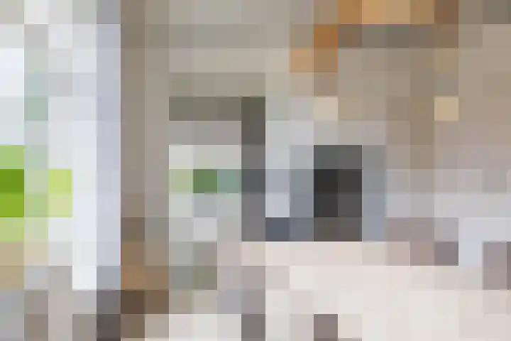Kruisakkers 29 Annen thumbnail 9