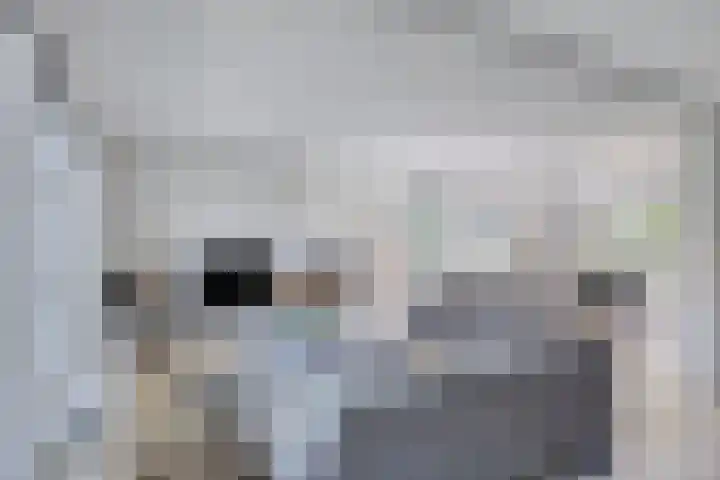Kruisbaan 29 Goirle thumbnail 11