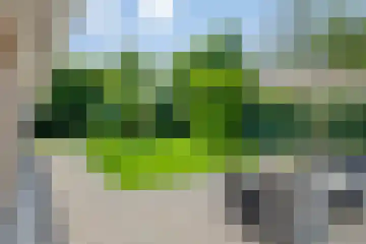 Kruisbaan 29 Goirle thumbnail 34