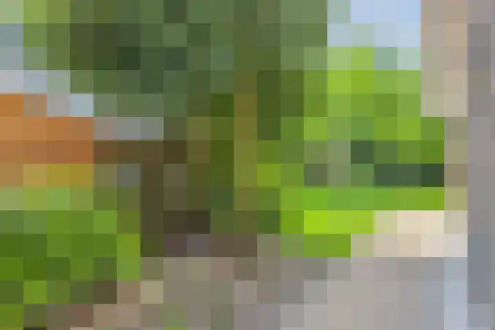 Kruisbaan 29 Goirle thumbnail 35