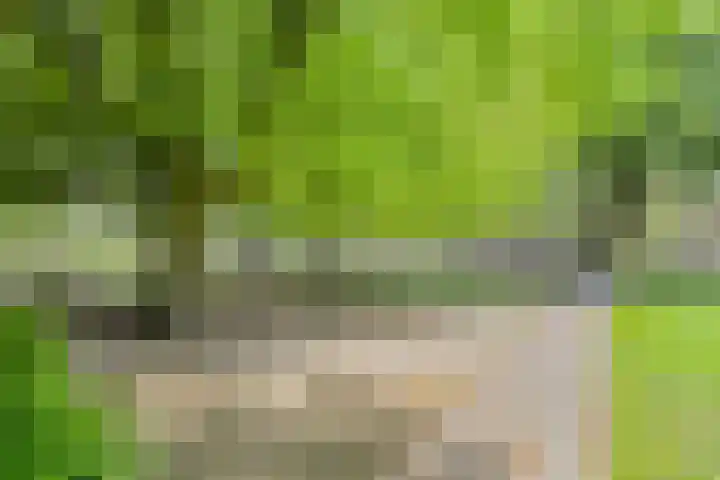 Kruisbaan 29 Goirle thumbnail 37