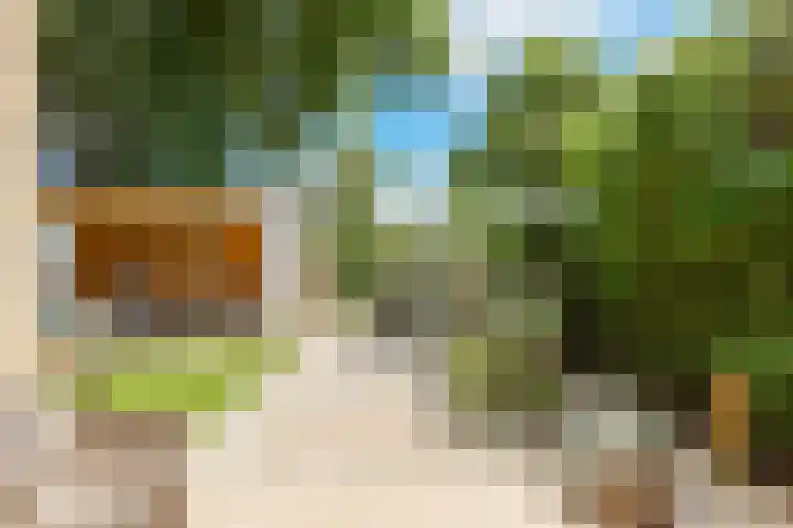 Kruisbes 29 Leiden thumbnail 16