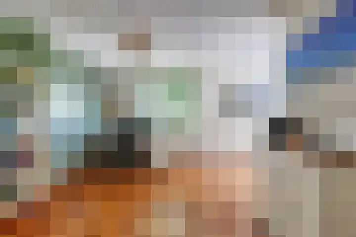 Kruisbes 29 Leiden thumbnail 27