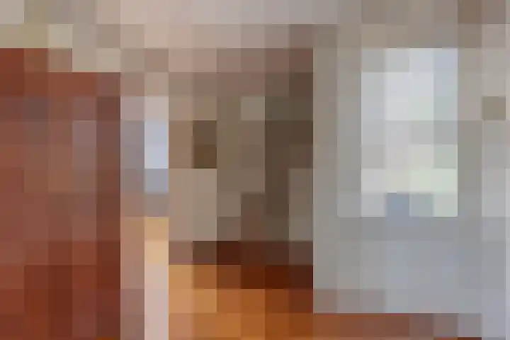 Kruisbes 29 Leiden thumbnail 30