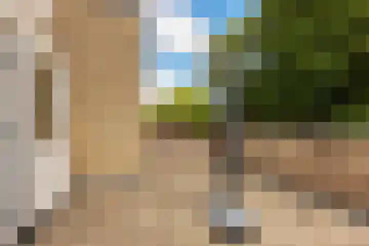 Kruisbes 29 Leiden thumbnail 36