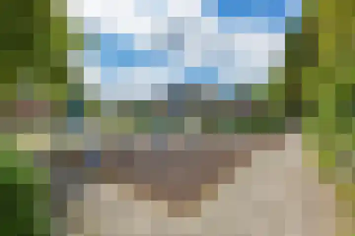 Kruisbes 29 Leiden thumbnail 39