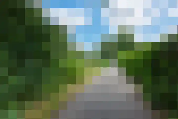 Kruisbes 29 Leiden thumbnail 41