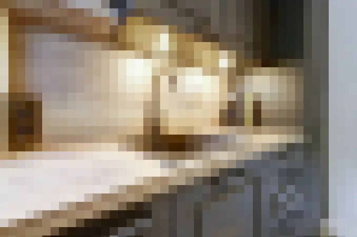 Kruisdijk 2 Strijen thumbnail 12