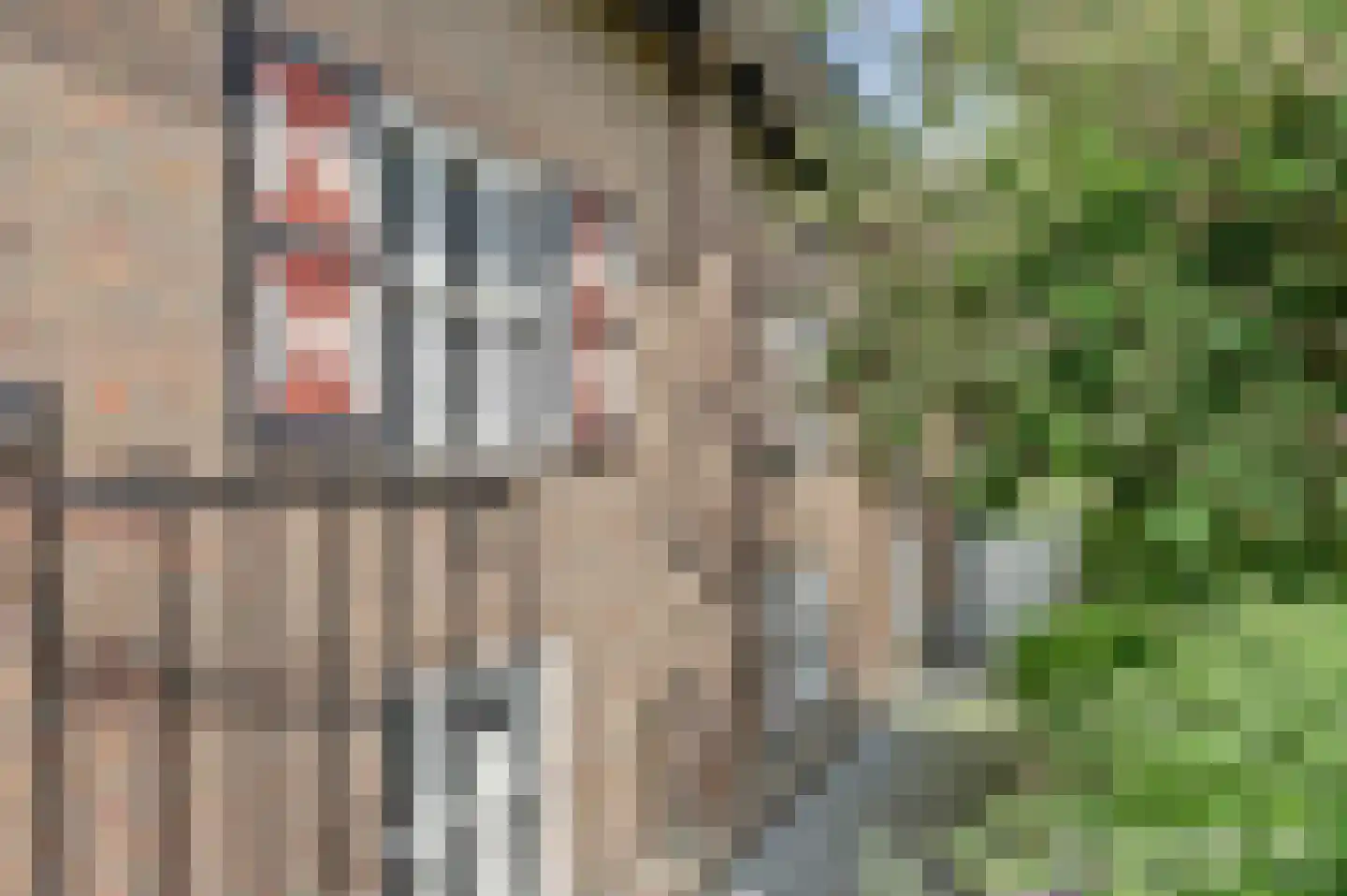 Kruisdijk 2 Strijen thumbnail 36