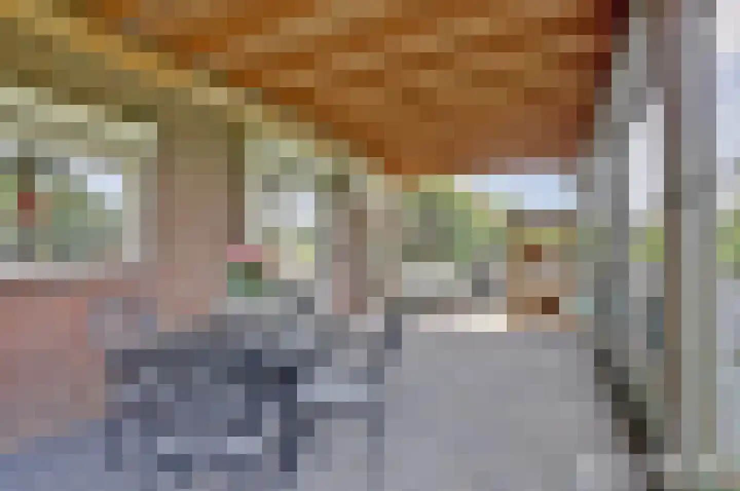 Kruisdijk 2 Strijen thumbnail 44