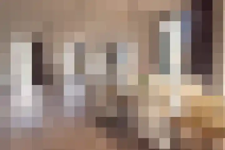 Kruiskade 2 P Rotterdam thumbnail 12