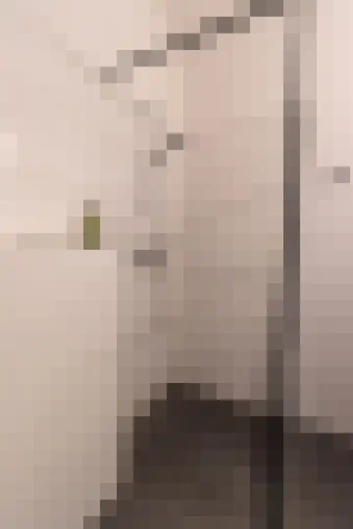 Kruiskade 2 P Rotterdam thumbnail 31