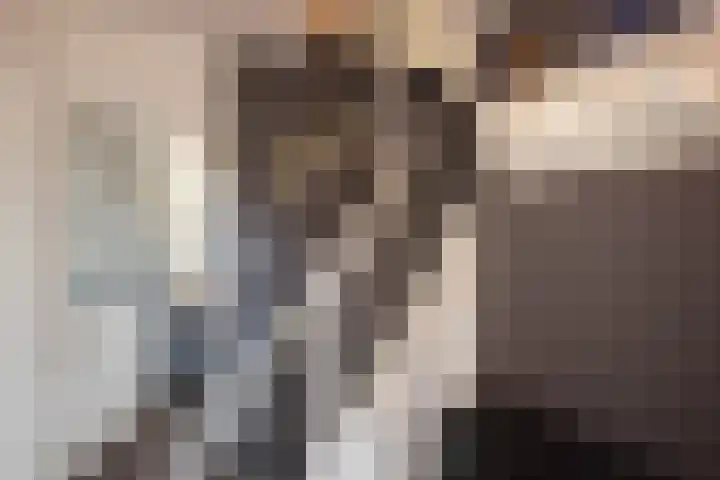 Kruiskamp 4 Eibergen thumbnail 13