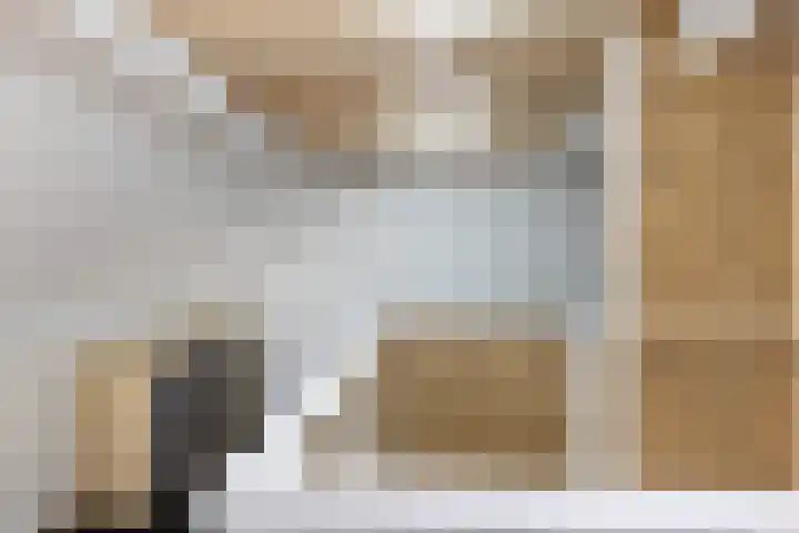 Kruiskamp 4 Eibergen thumbnail 24