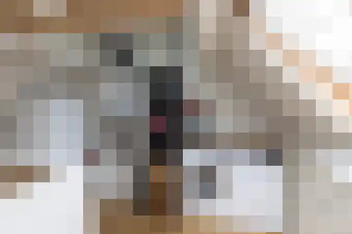 Kruiskamp 4 Eibergen thumbnail 26