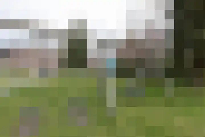 Kruiskamp 4 Eibergen thumbnail 34