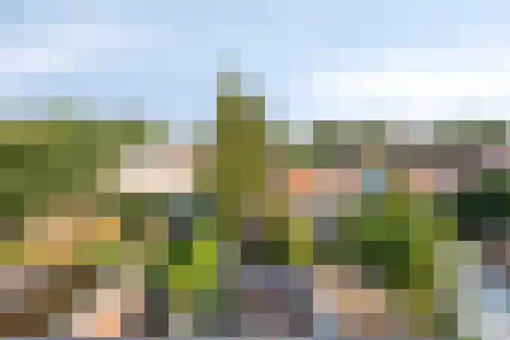 Kruiskamp 68 Amersfoort thumbnail 25