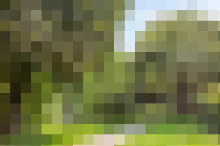 Kruiskamp 68 Amersfoort thumbnail 33