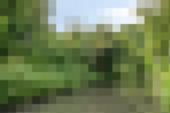 Kruiskamp 68 Amersfoort thumbnail 34