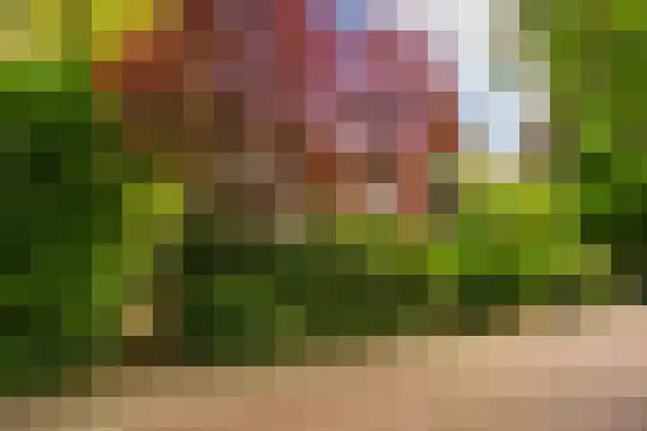 Kruislaan 2 Bilthoven thumbnail 10