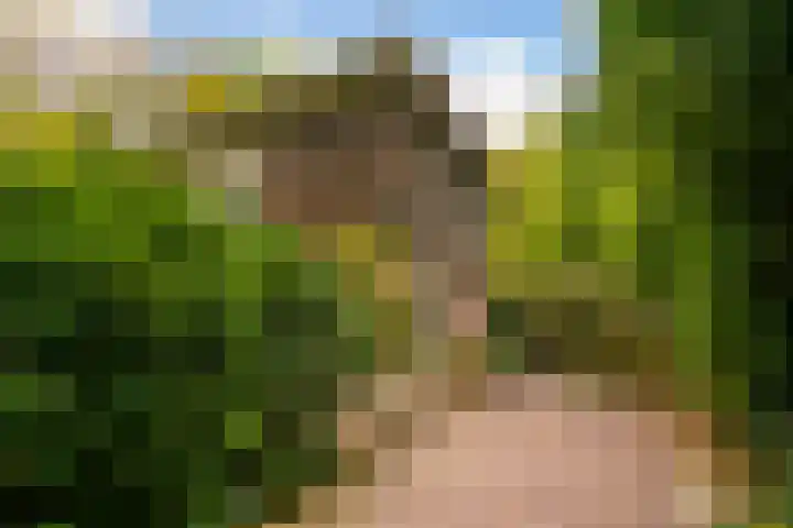 Kruislaan 2 Bilthoven thumbnail 11