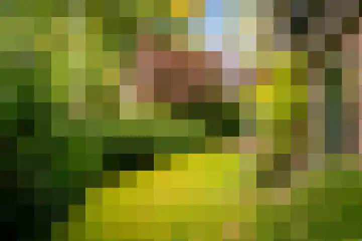 Kruislaan 2 Bilthoven thumbnail 14