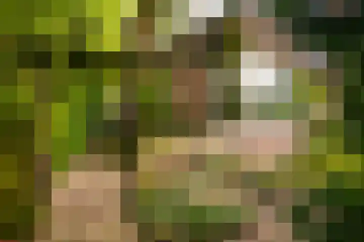 Kruislaan 2 Bilthoven thumbnail 16