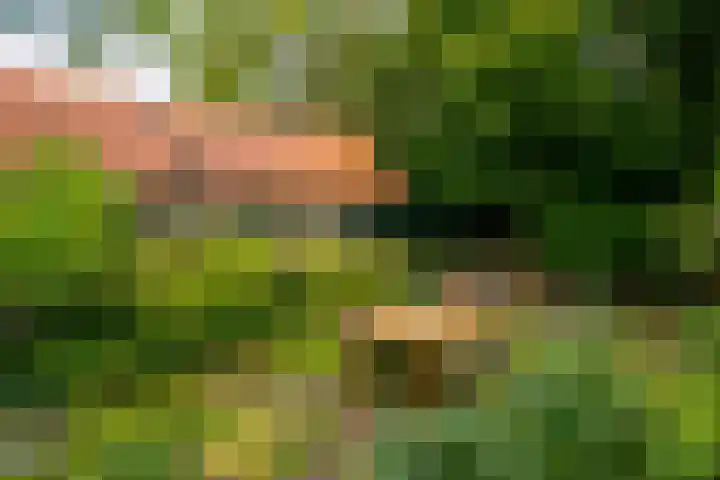 Kruislaan 2 Bilthoven thumbnail 19
