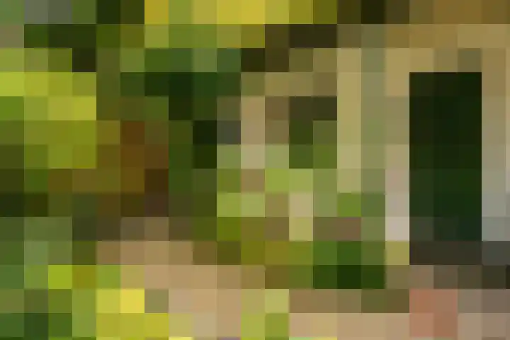 Kruislaan 2 Bilthoven thumbnail 22